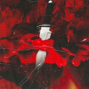 Meet your Posher, Connor